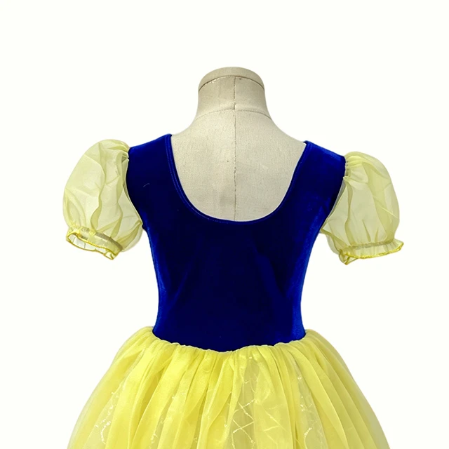 Girls Blue with Yellow Character Ballet Dress | XGZ0250