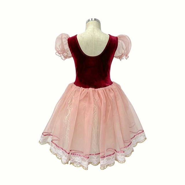Girls Wine Red with Pink Character Ballet Dress | XGZ0250