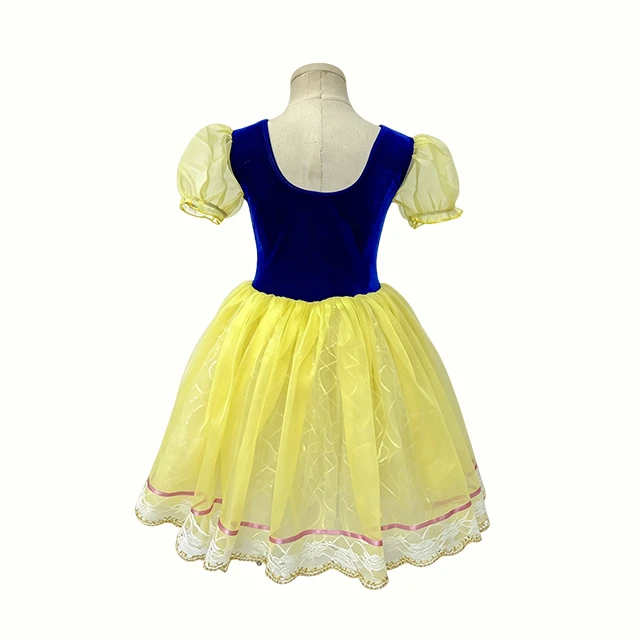 Girls Blue with Yellow Character Ballet Dress | XGZ0250